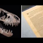 Dinosaur skulls & the US Constitution: Rare luxury items go on sale at Sotheby’s